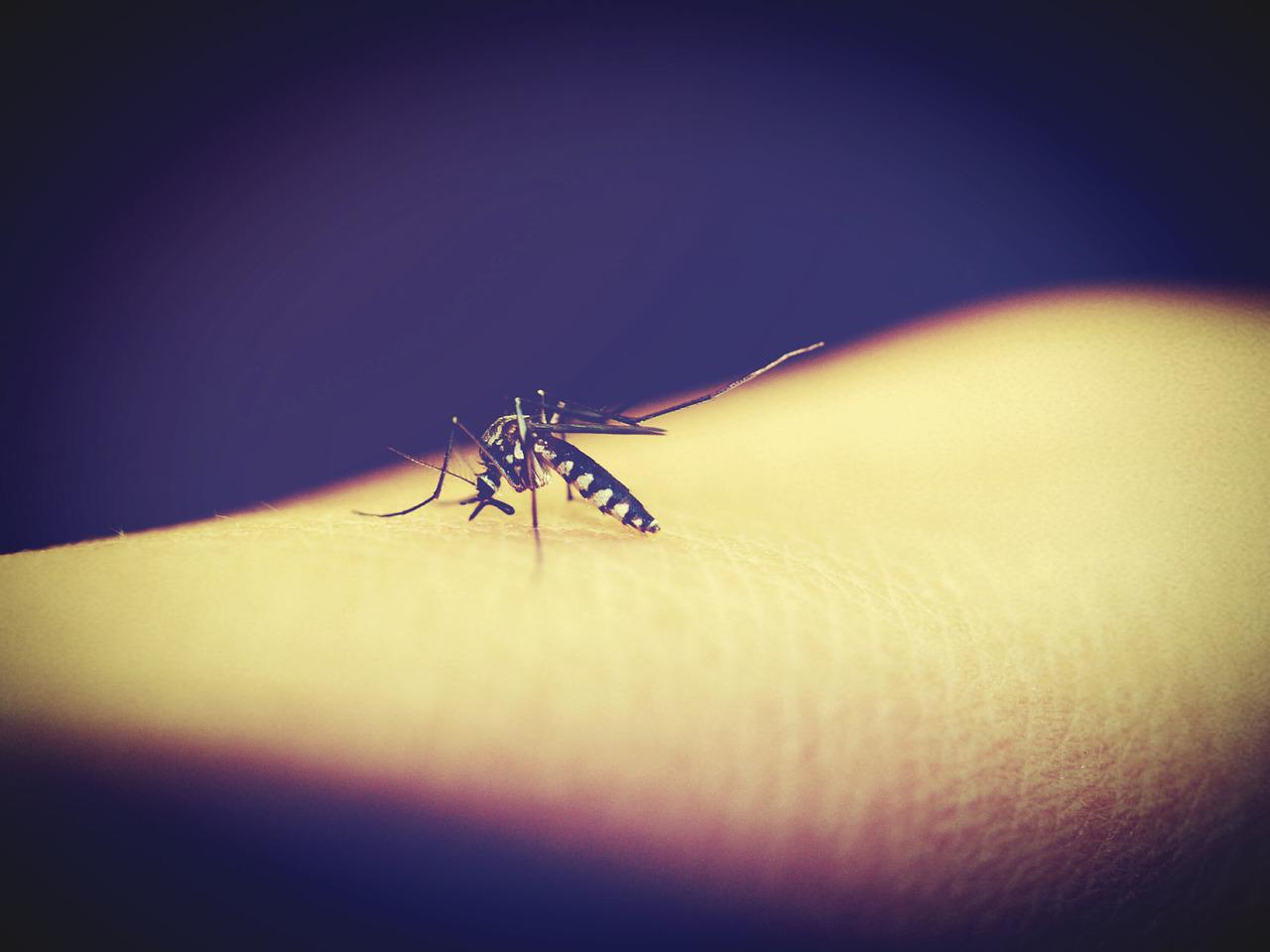 10 užitočných rád, ako sa chrániť pred uštipnutím hmyzom